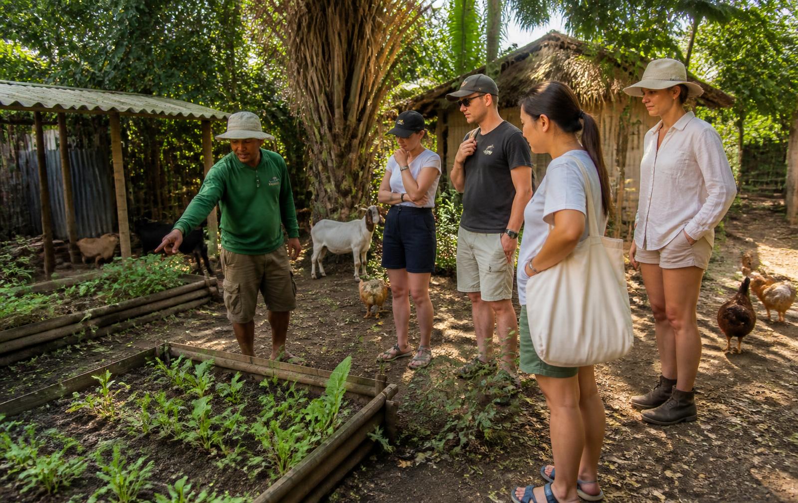 Grupo em visita educativa a um quintal autossustentável